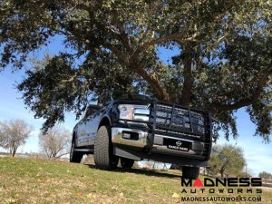 Ford F-150 Front Legend Grille Guard